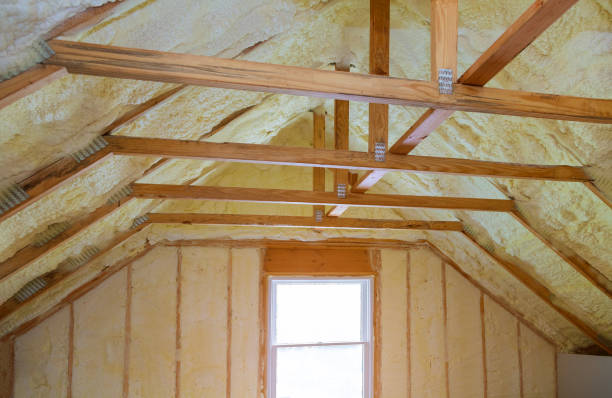 Best Insulation Maintenance and Repair in Kingsport, TN