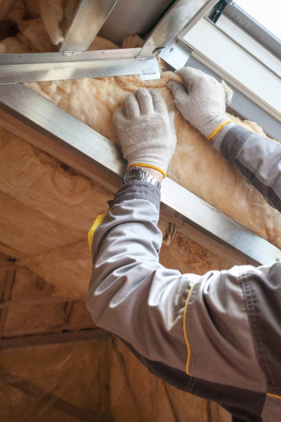 Best Geographic-Specific Insulation Services in Kingsport, TN
