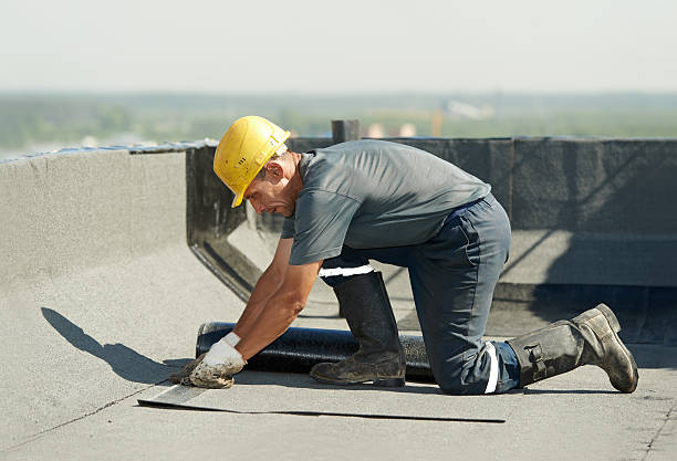 Best Geographic-Specific Insulation Services in Kingsport, TN