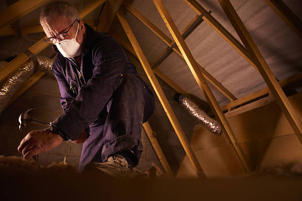 Types of Insulation We Offer in Kingsport, TN